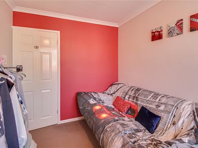 Picture 21